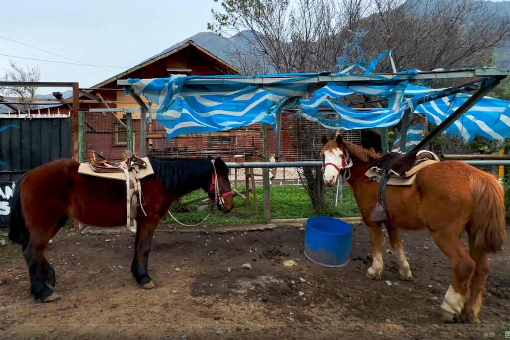 Escapadas Cajón Del Maipo, Cabalgatas y Paseos a Caballo Aki 9