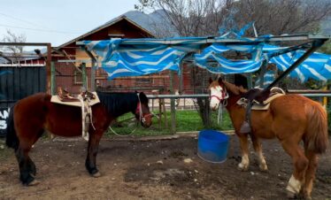 Escapadas Cajón Del Maipo, Cabalgatas y Paseos a Caballo Aki 9