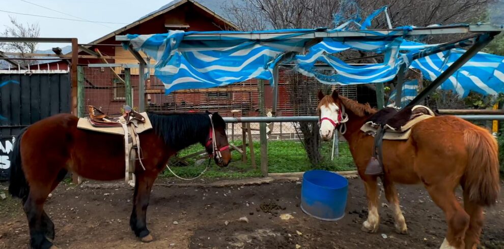 Escapadas Cajón Del Maipo, Cabalgatas y Paseos a Caballo Aki 9