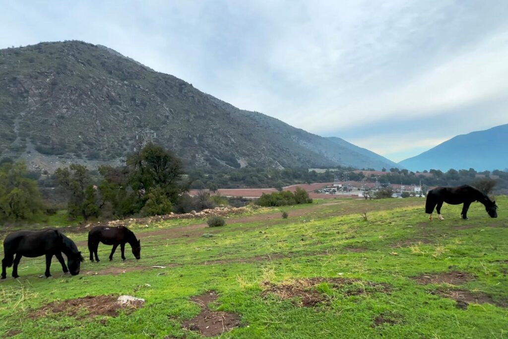 Escapadas Cajón Del Maipo, Cabalgatas y Paseos a Caballo Aki 3