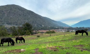 Escapadas Cajón Del Maipo, Cabalgatas y Paseos a Caballo Aki 3