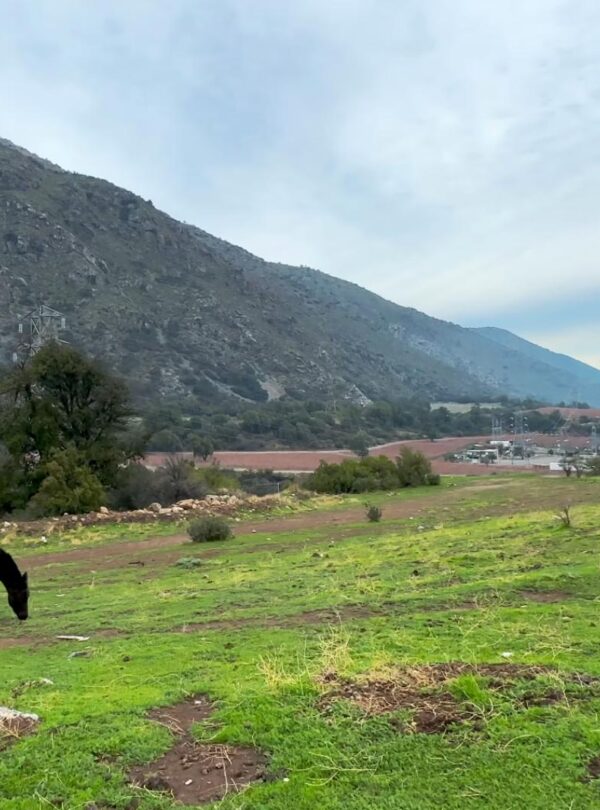 Escapadas Cajón Del Maipo, Cabalgatas y Paseos a Caballo Aki 3