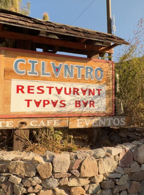 Escapadas Cajón del Maipo, Cilantro Restaurante, Guayacan, Cajón del Maipo 5