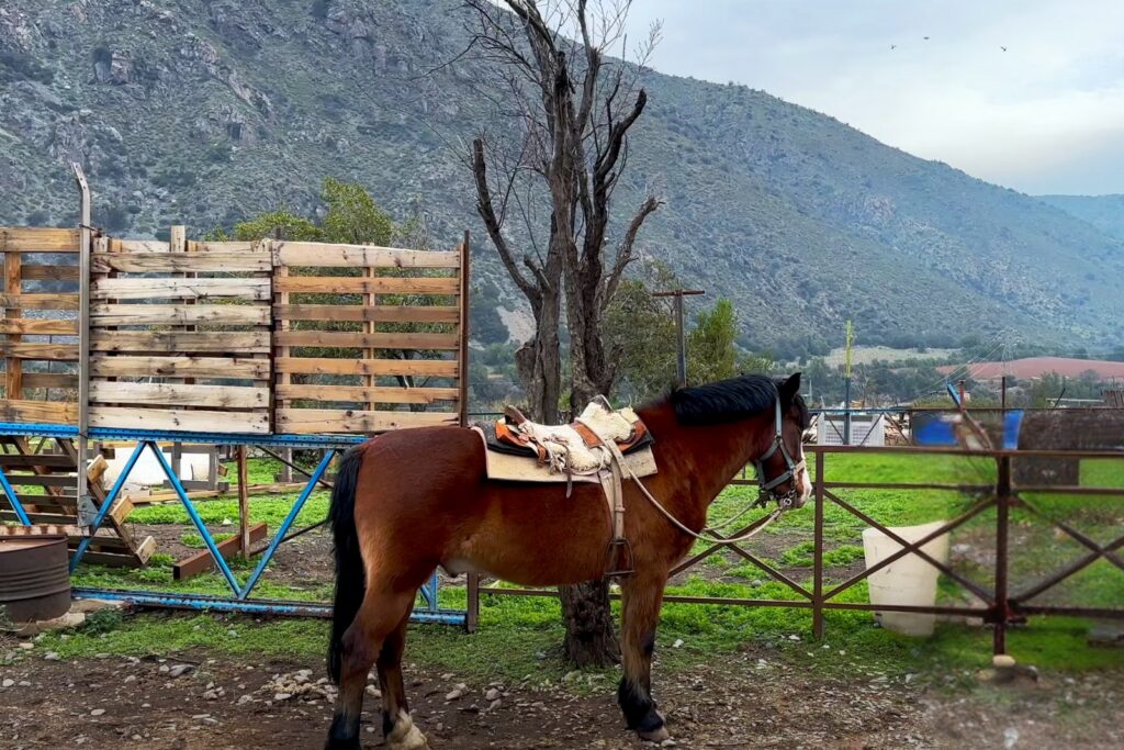 Escapadas Cajón del Maipo, Cabalgatas y paseos a caballo AKI Portada