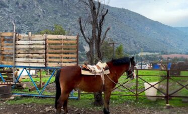 Escapadas Cajón del Maipo, Cabalgatas y paseos a caballo AKI Portada