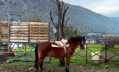 Escapadas Cajón del Maipo, Cabalgatas y paseos a caballo AKI Portada