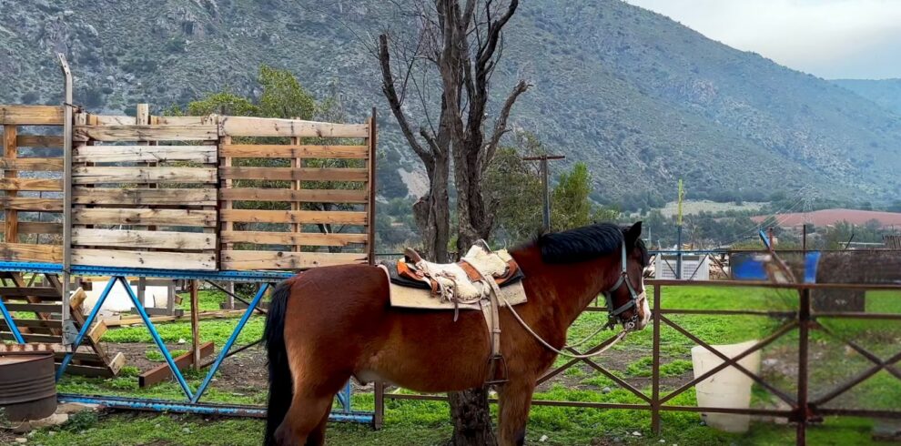Escapadas Cajón del Maipo, Cabalgatas y paseos a caballo AKI Portada
