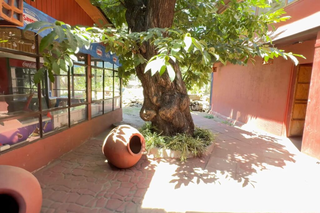 Escapadas Cajón del Maipo, La Posada el Canelo 5