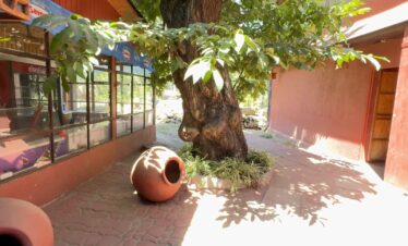 Escapadas Cajón del Maipo, La Posada el Canelo 5