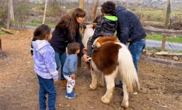 Paseos en Pony y Cabalgatas Parque Los Ponis, El Manzano, Cajón del Maipo 1