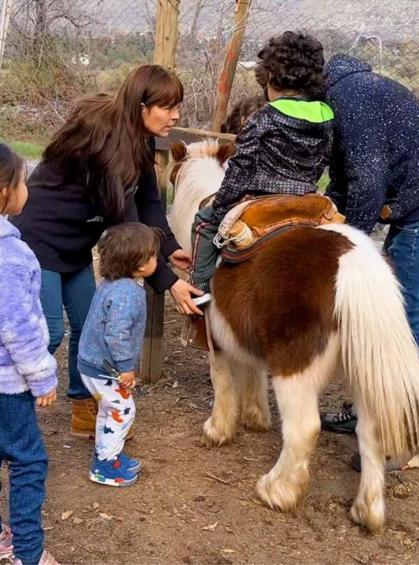 Paseos en Pony y Cabalgatas Parque Los Ponis, El Manzano, Cajón del Maipo 1