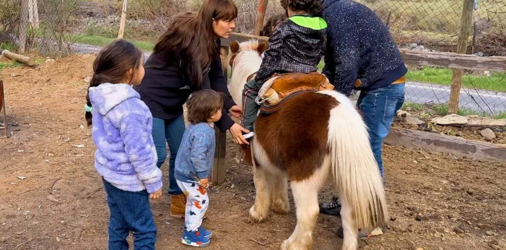 Paseos en Pony y Cabalgatas Parque Los Ponis, El Manzano, Cajón del Maipo 1