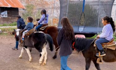 Paseos en Pony y Cabalgatas Parque Los Ponis, El Manzano, Cajón del Maipo 7