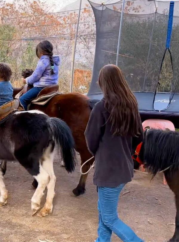 Paseos en Pony y Cabalgatas Parque Los Ponis, El Manzano, Cajón del Maipo 7