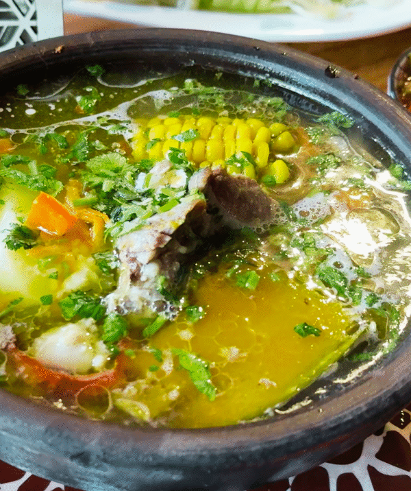 Restaurante el Rincón de Susana, Las Vertientes, Cajón del Maipo 3